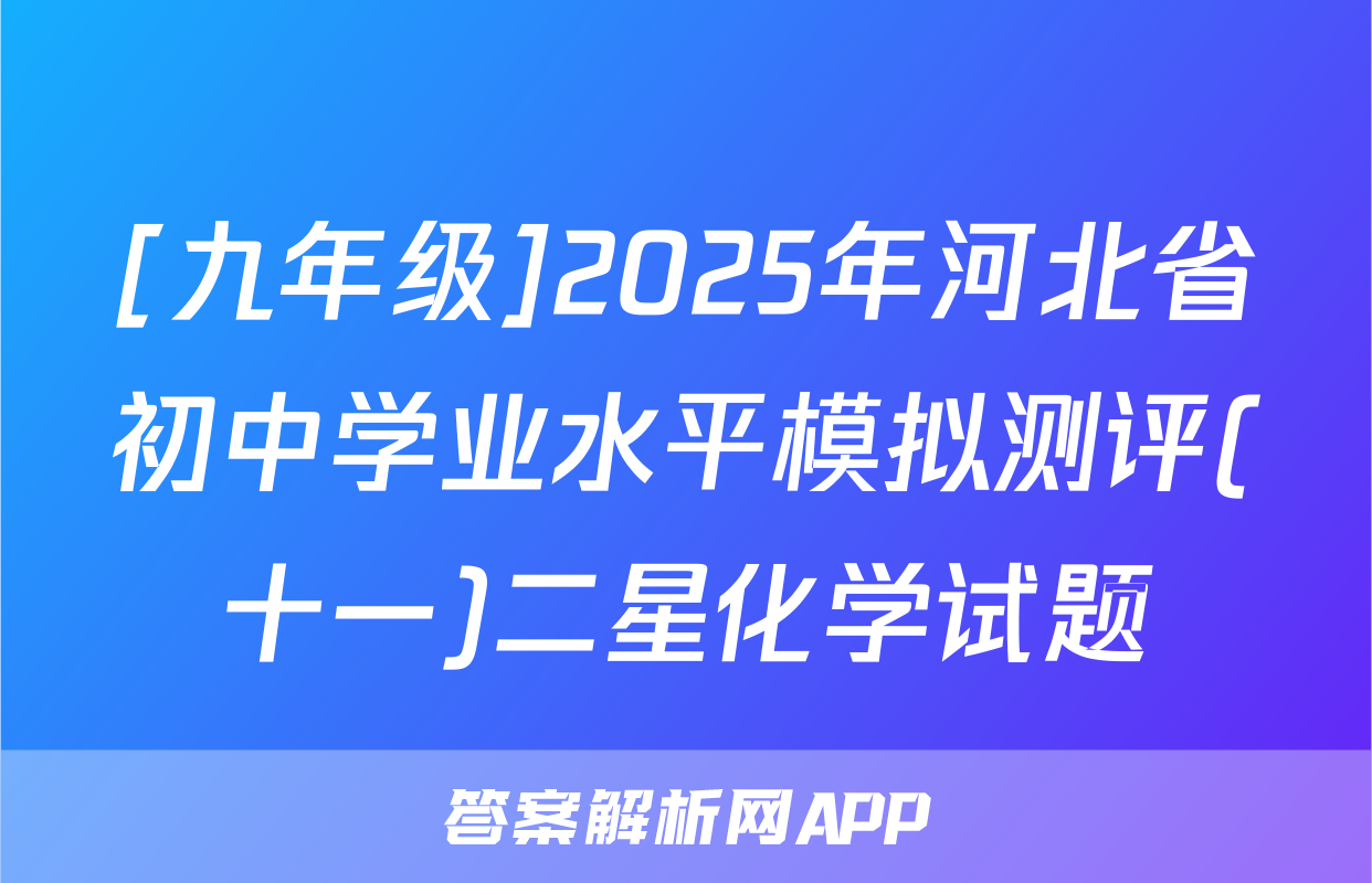 [九年级]2025年河北省初中学业水平模拟测评(十一)二星化学试题