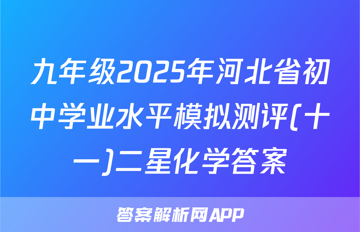 九年级2025年河北省初中学业水平模拟测评(十一)二星化学答案