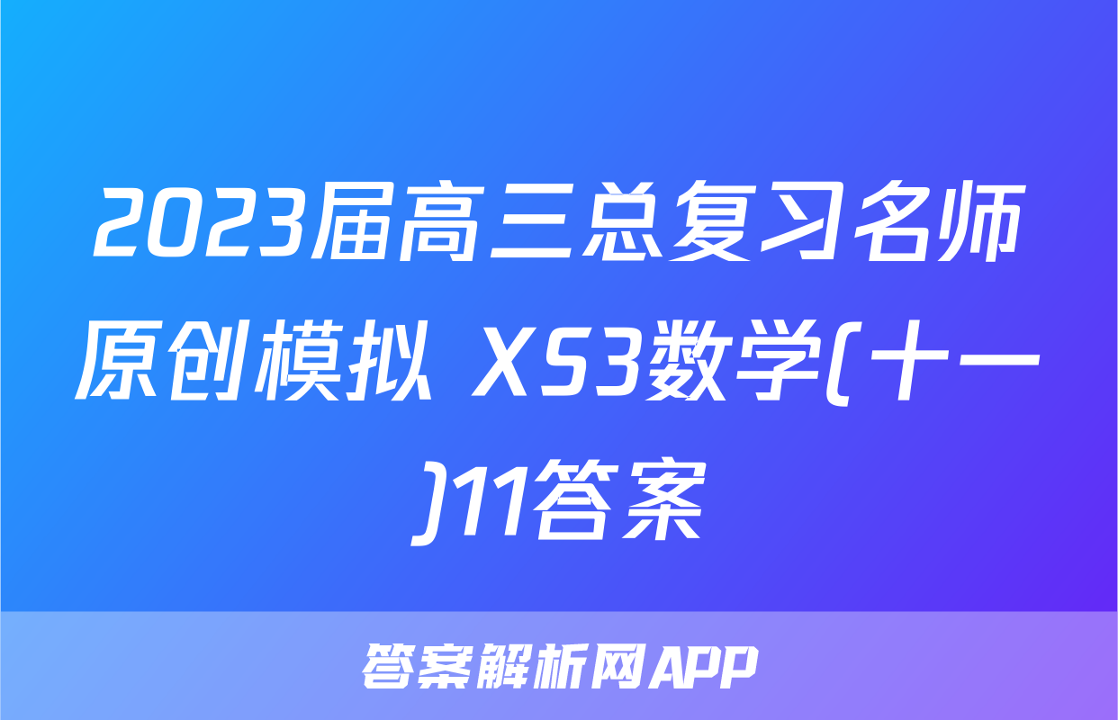 2023届高三总复习名师原创模拟 XS3数学(十一)11答案