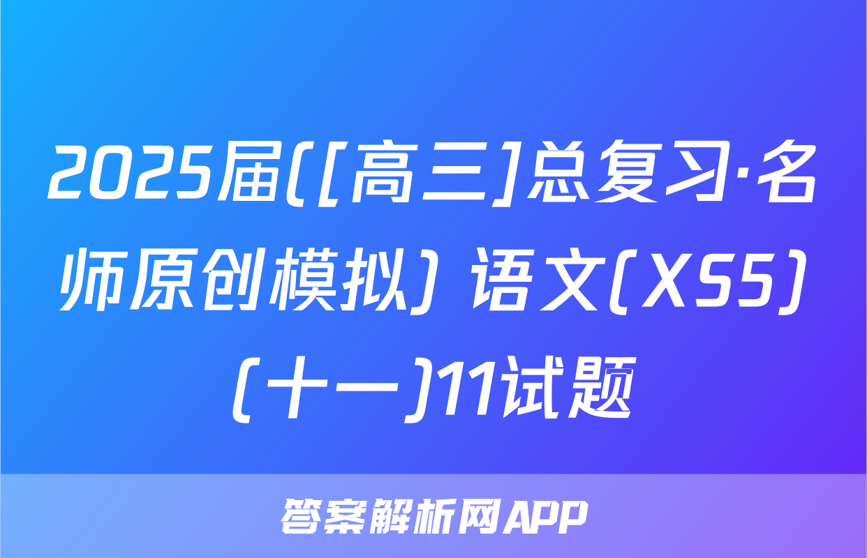 2025届([高三]总复习·名师原创模拟) 语文(XS5)(十一)11试题
