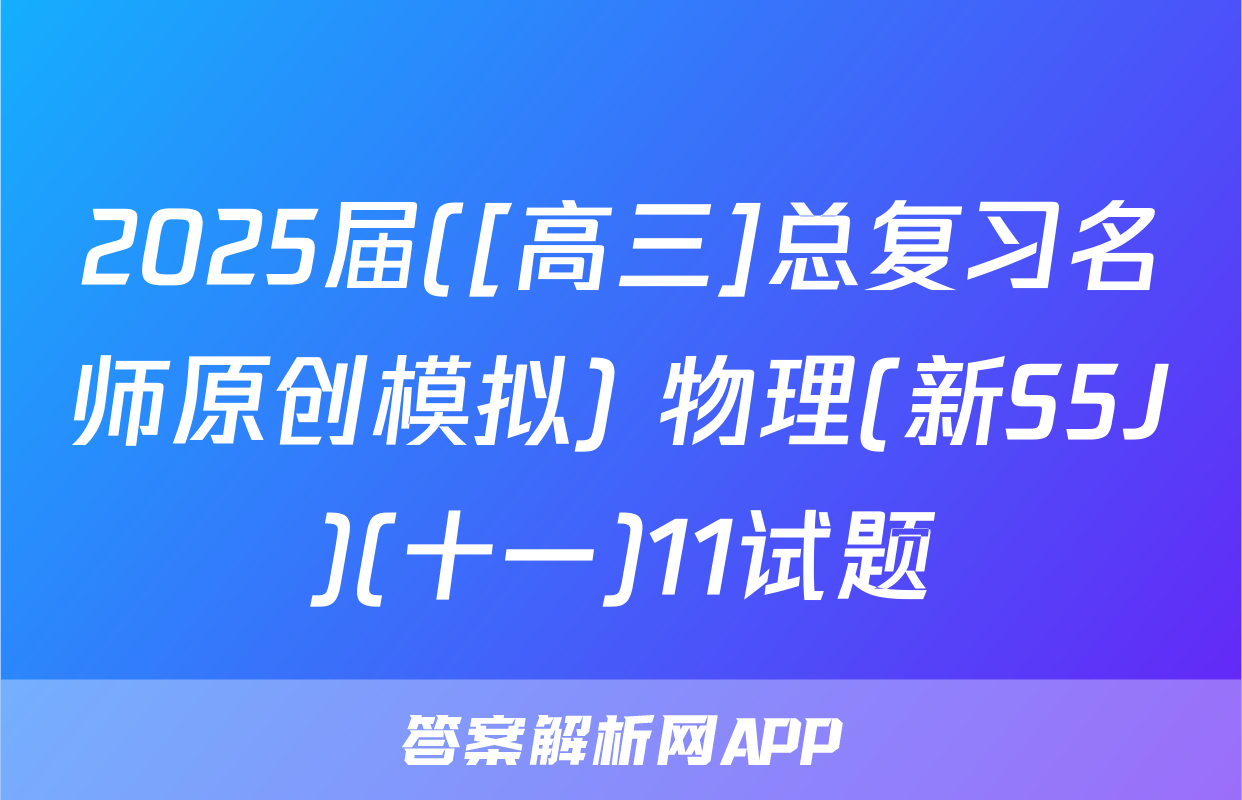 2025届([高三]总复习名师原创模拟) 物理(新S5J)(十一)11试题