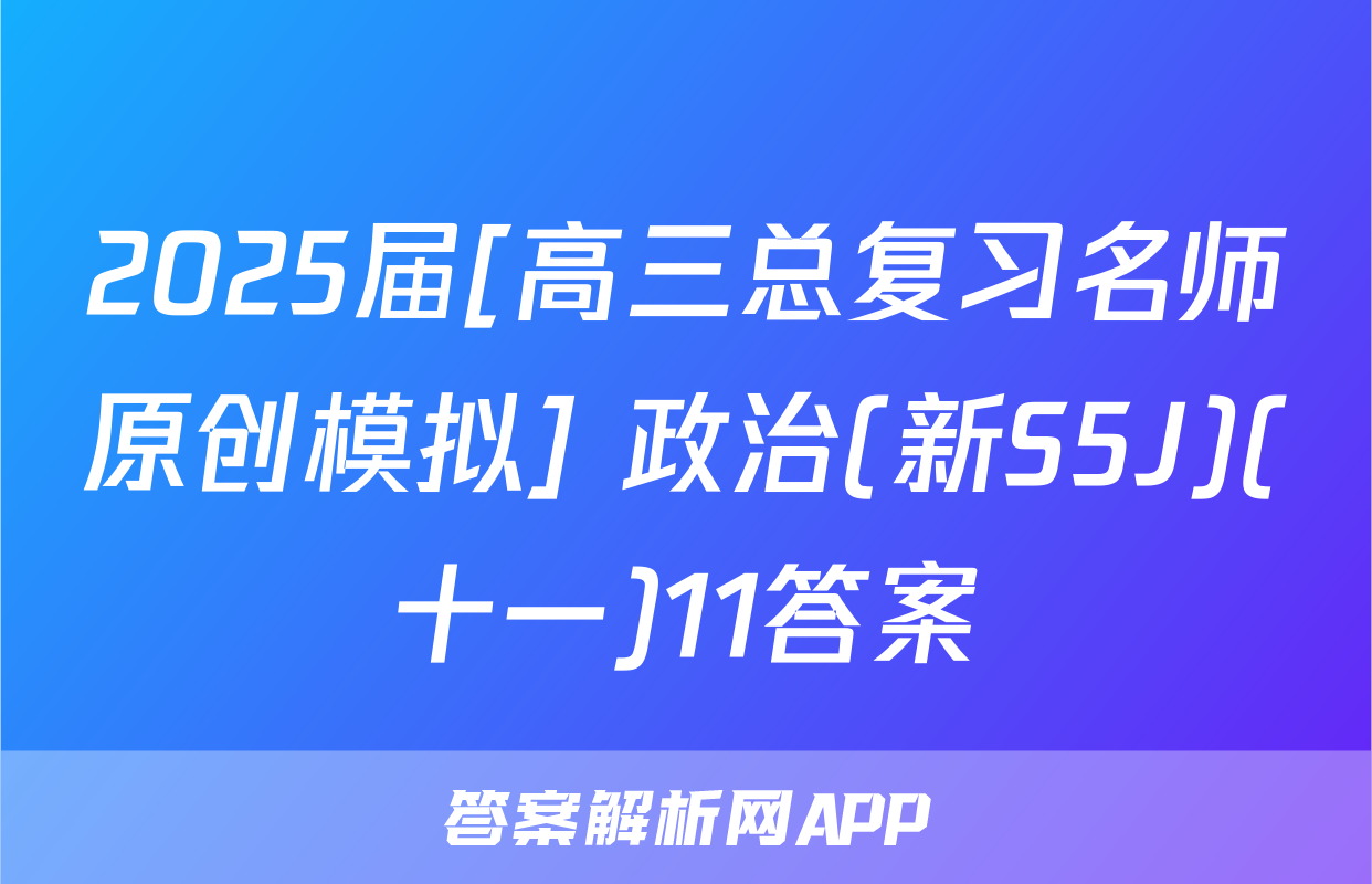 2025届[高三总复习名师原创模拟] 政治(新S5J)(十一)11答案